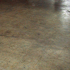 A Concrete Floor is a Renewable Resource
